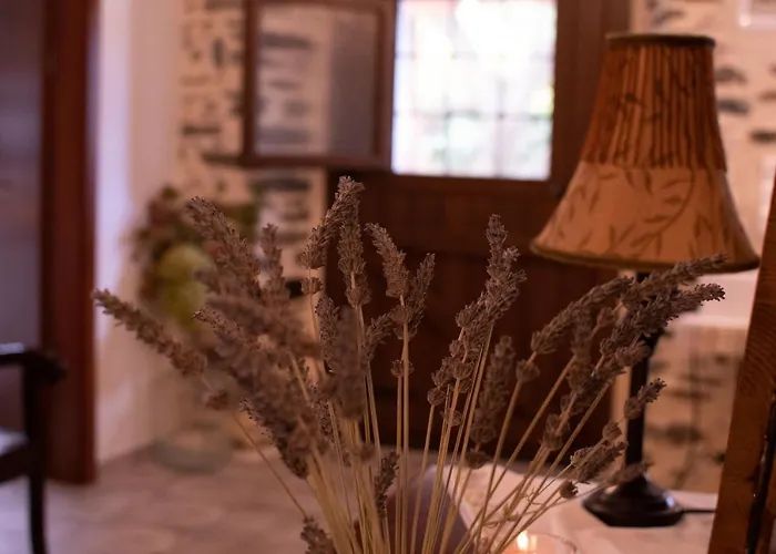 Case de vacanță Efrosini Dhrákia